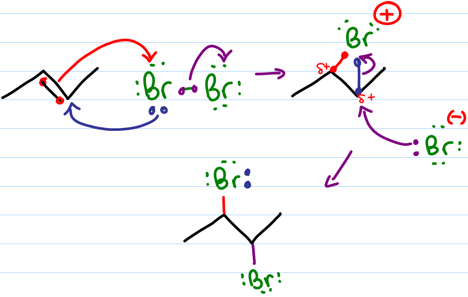 Halogenation Of Alkenes Organic Chemistry Reaction Mechanism MCAT 