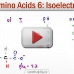 Amino Acid Isoelectric Point Calculation Tutorial Video