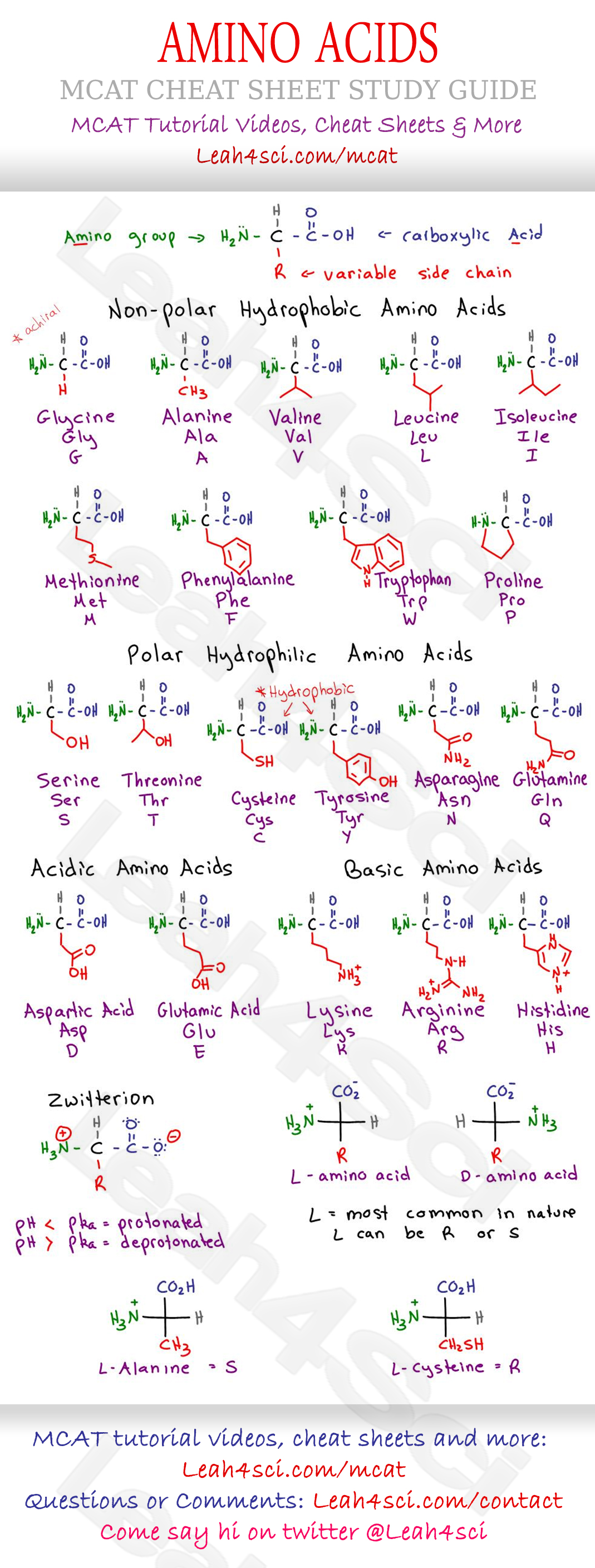 Amino Acid Chart MCAT Cheat Sheet Study Guide