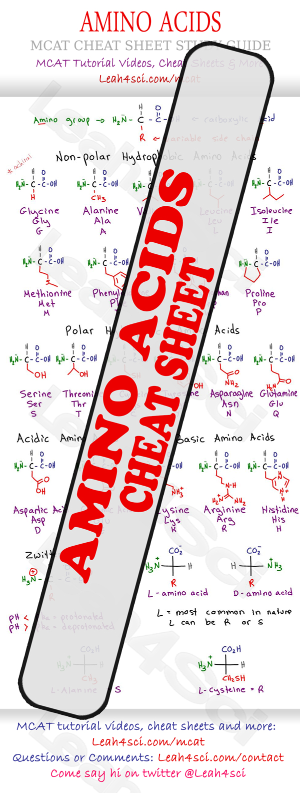 Amino Acid Chart MCAT Cheat Sheet Study Guide
