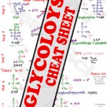 Glycolysis Reaction Steps MCAT Cheat Sheet Study Guide Preview