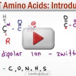 Amino Acids Tutorial Video MCAT Biochemistry Leah4sci
