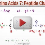 Peptide charge and isoelectric point pI tutorial video