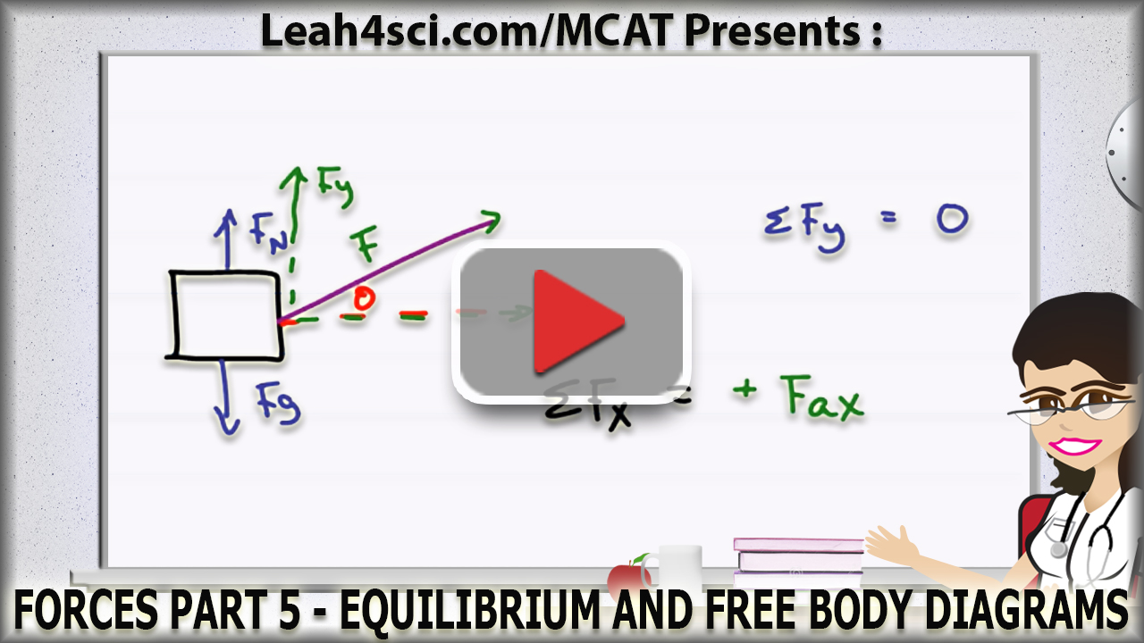 physics equilibrium calculator