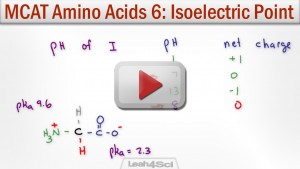 Isoelectric Point of Amino Acidss with MCAT Shortcut Leah4sci