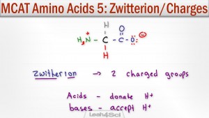 Zwitterion and Amino Acid Charges given pH pKa Leah Fisch