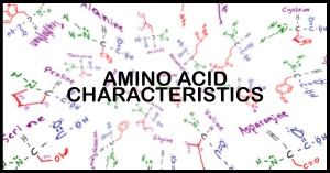 amino acid side chain characteristics by leah fisch