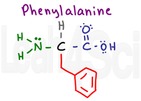 phenylalanine structure
