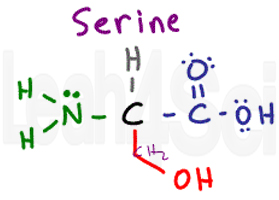 serine structure