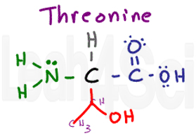 threonine structure