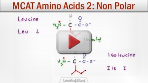 hydrophobic amino acids mcat