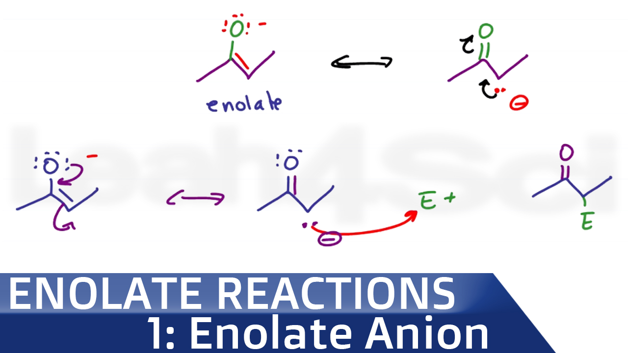 Enolate Ion Formation for Alpha Carbonyl Reactions Orgo Tutorial Video