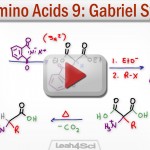 Gabriel Malonic Ester Alpha Amino Acid Synthesis Tutorial Video