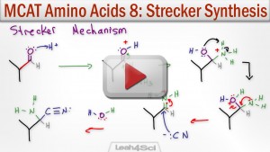 Strecker Synthesis of Alpha Amino Acids MCAT Tutorial Video