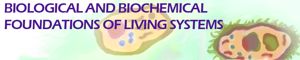 Biological and Biochemical Foundations of Living Systems