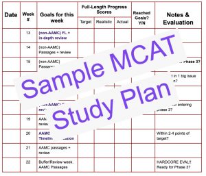 Leah4sci MCAT study plan sample